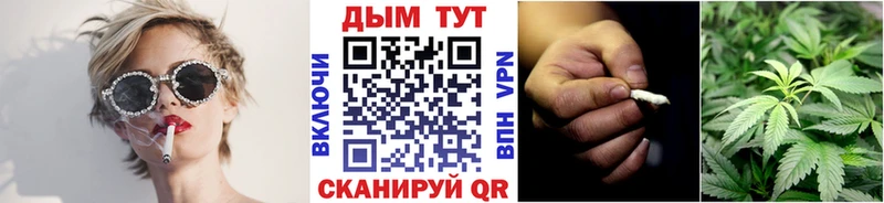 Где продают наркотики Дятьково ГАШ  Псилоцибиновые грибы  Мефедрон  Канабис  КОКАИН  СОЛЬ  АМФЕТАМИН 