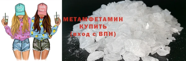 прущие грибы Дмитриев