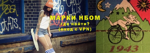прущие грибы Дмитриев