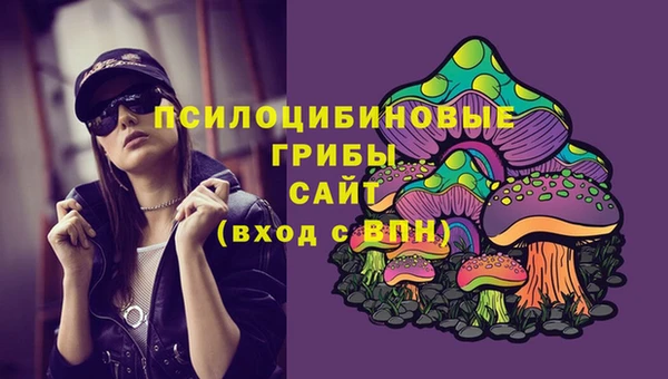 прущие грибы Дмитриев