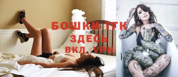 сатива Дмитровск