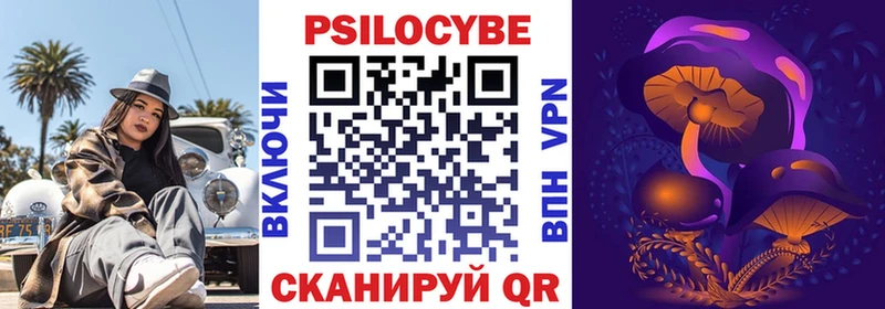 наркотики  Дятьково  Галлюциногенные грибы Psilocybine cubensis 
